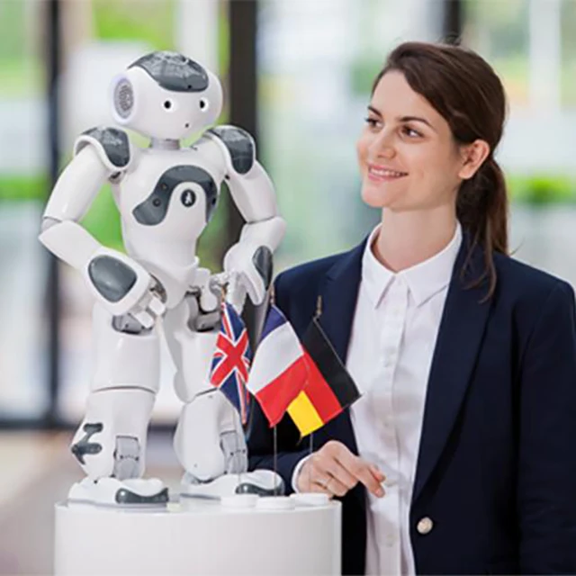 SoftBank NAO Robotics Humanoid Legged Educational Research Robot, STEM K12 Education Smart AI Robot Learning with Multi Function