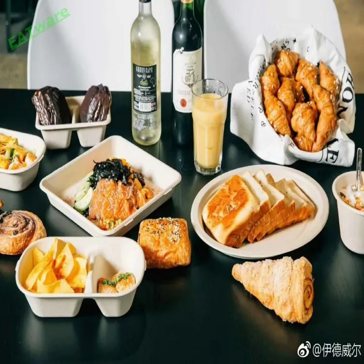 Factory Wholesale disposable food container take away food container sugarcane food container for take away