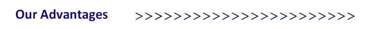 Our Advantages.jpg