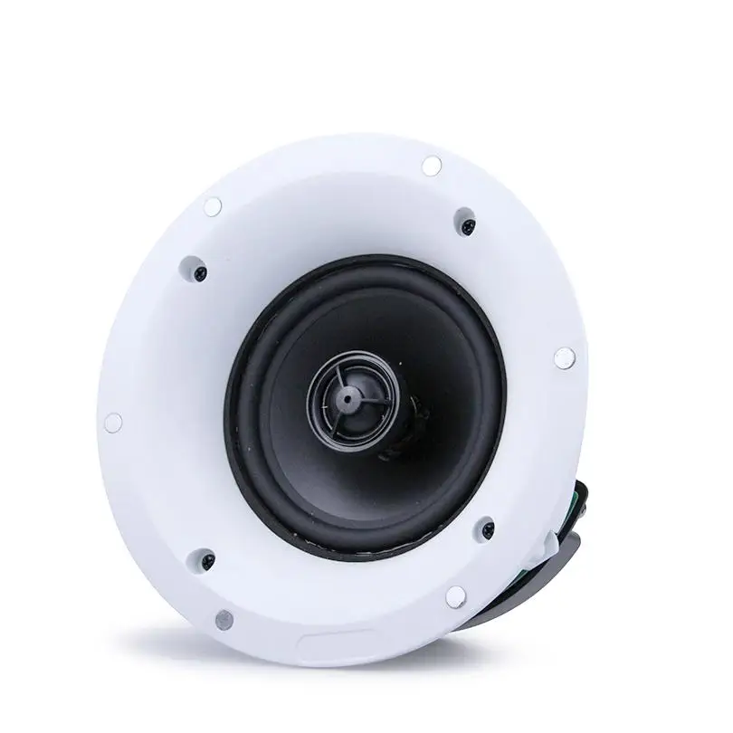 Ceiling Speaker System altoparlante coassiale 5 inch Solar 8 inch China Component 50 Watts Professional Singing Sound System