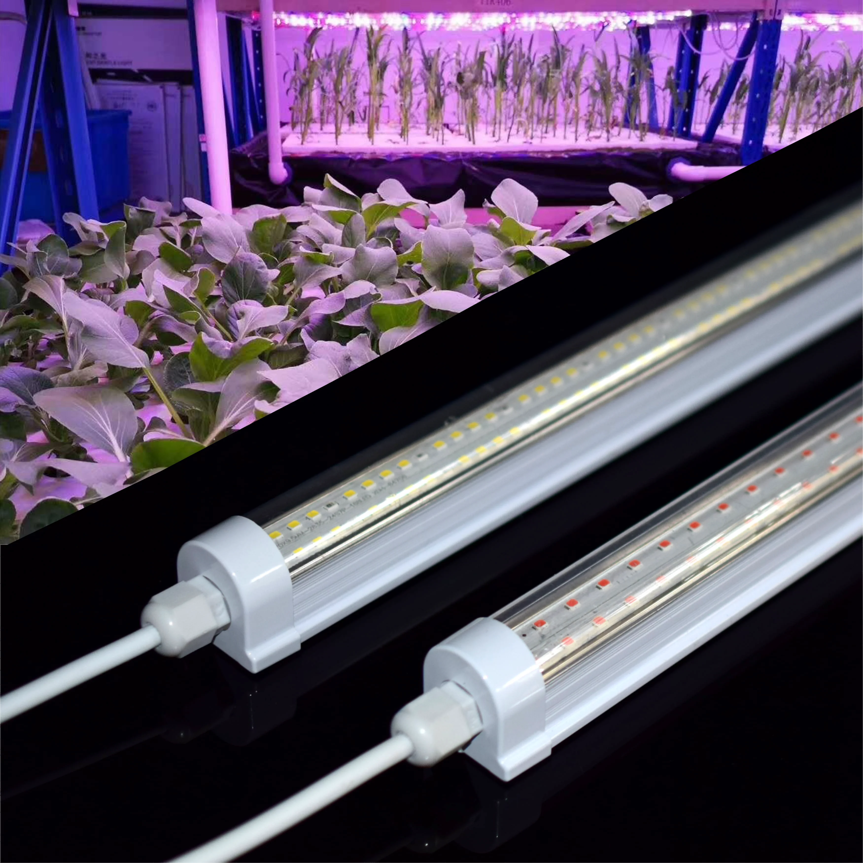 Full spectrum hydroponics horticulture indoor plant growth strip lamp ip65 tube vertical farming clone led t8 grow light bar