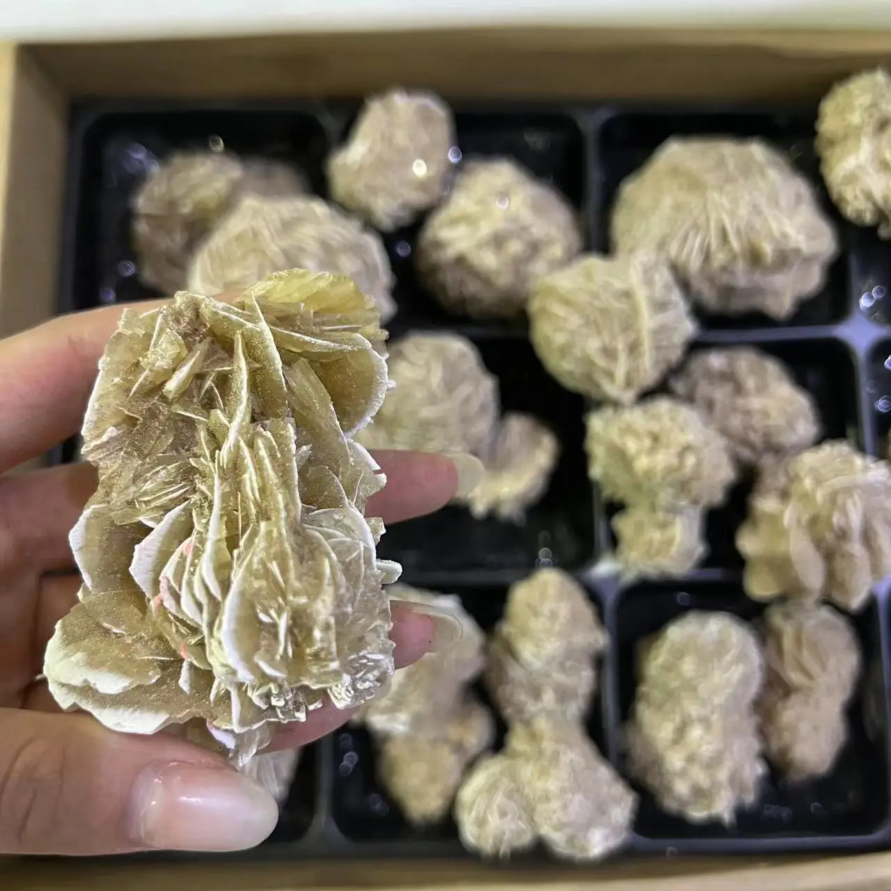 Natural Selenite Desert Rose Raw Crystal Stones Healing Stones Desert Rose For Christmas Decor