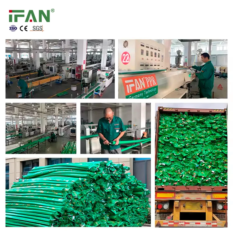 Factory Germany Standard Free Sample OEM Color Plastic Polypropylene PPR Pipe