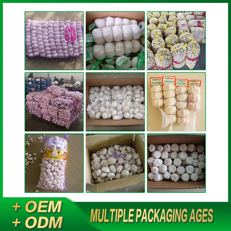Fresh garlic Chinese new crop 2021 high quality wholesale garlic normal white alho fresco ajo from garlic exporters China