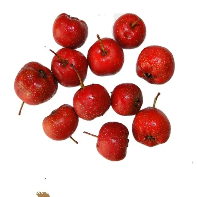 
New hand sorting pitted Hawthorn berry slice/natural food 