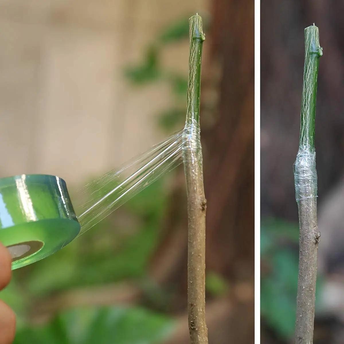 Agriculture Gardening Tool Plastic Roll Parafilm Nursery Budding Tree PVC Fruit Plant Garden Grafting Tape