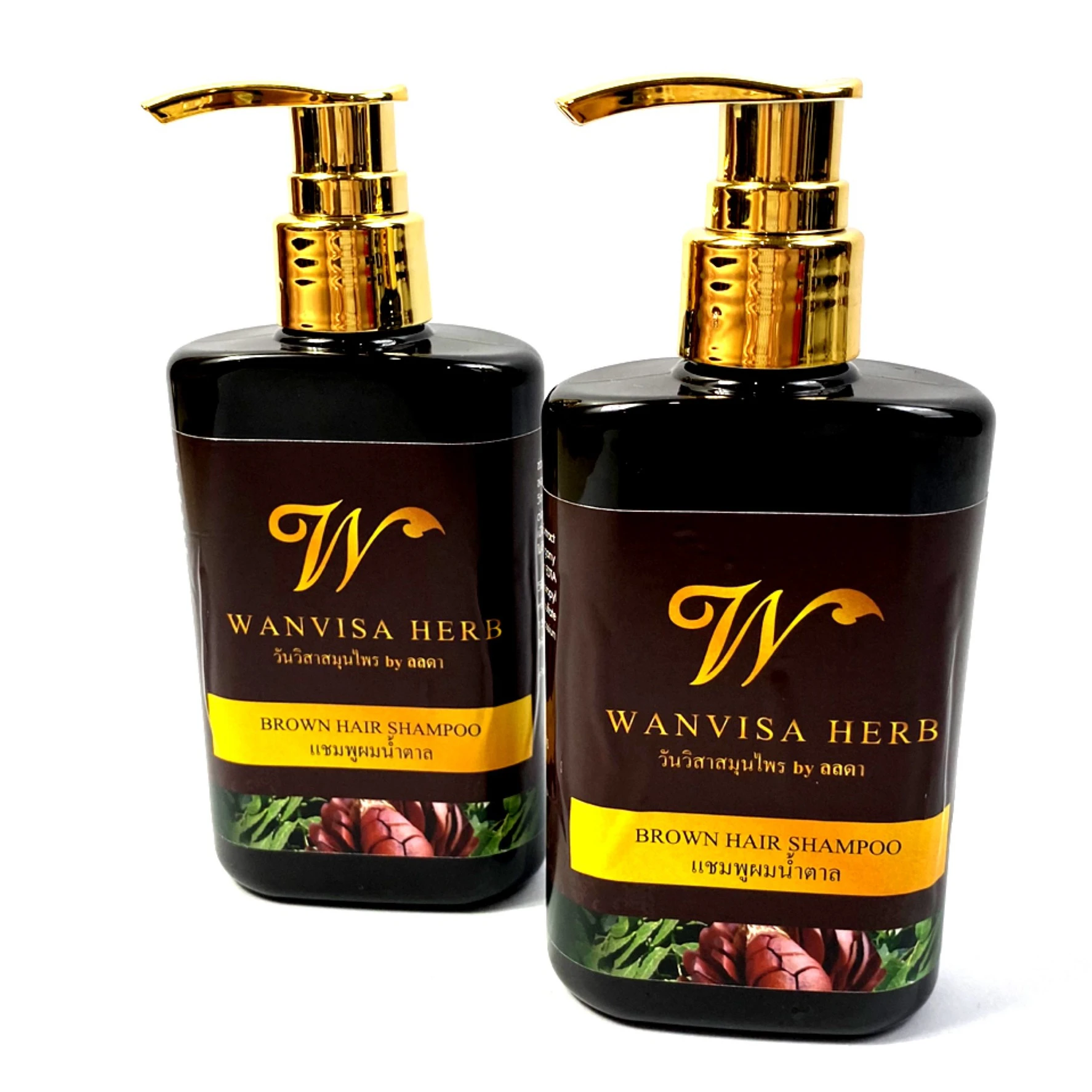 Nourishing Hair-Loss Prevention Brown Color Shampoo With Herbal Ingredient From Thailand