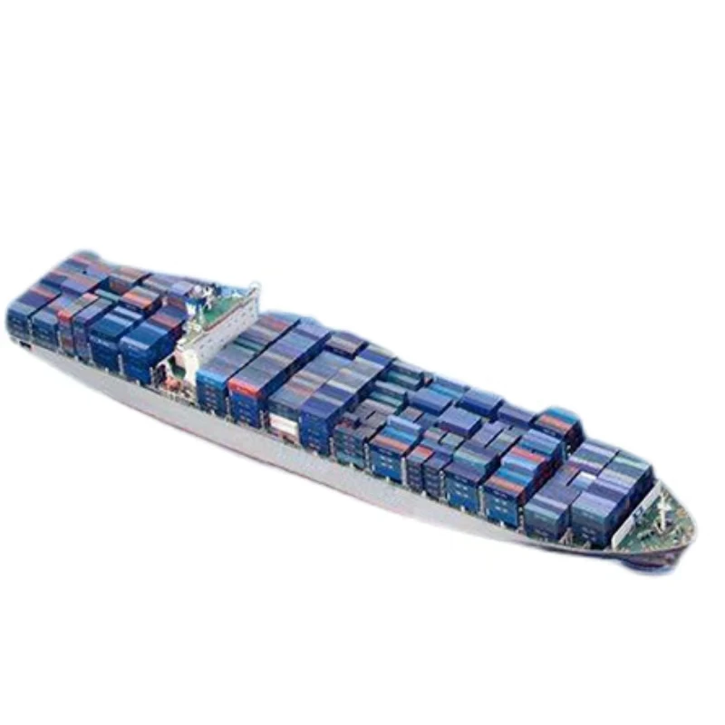 Reliable  LCL Sea Shipping consolation Freight Forwarder from China to Auckland New Zealand Logistics