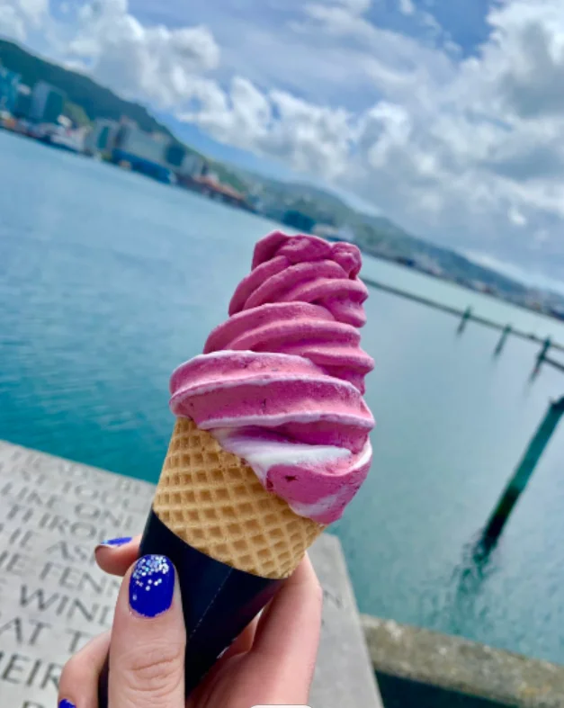 soft swirl ice cream machine swirl freeze frozen fruits ice cream machine with CE