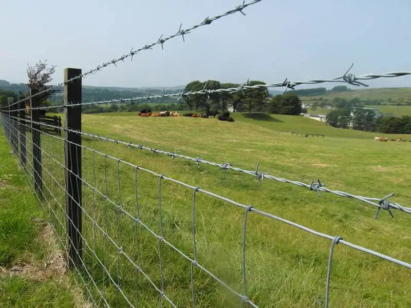 Hot Sale Deer Farm Fencing Livestock Sheep Wire Mesh Fence Cattle Fence