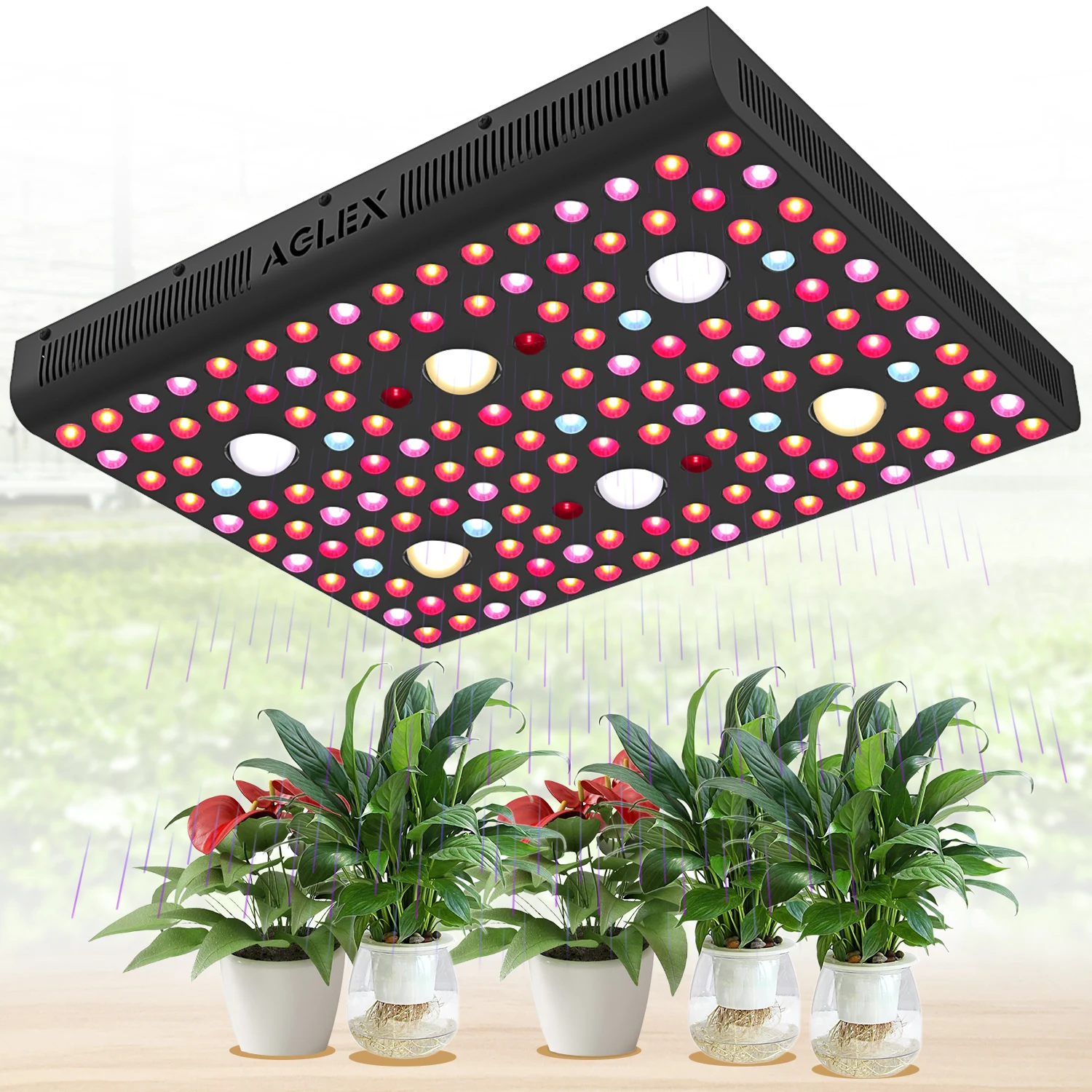 Full Spextrum VEG BLOOM Double Switches High Power 3000W Full Spectrum LED Plant Grow Light Indoor Lamps for Indoor Plants