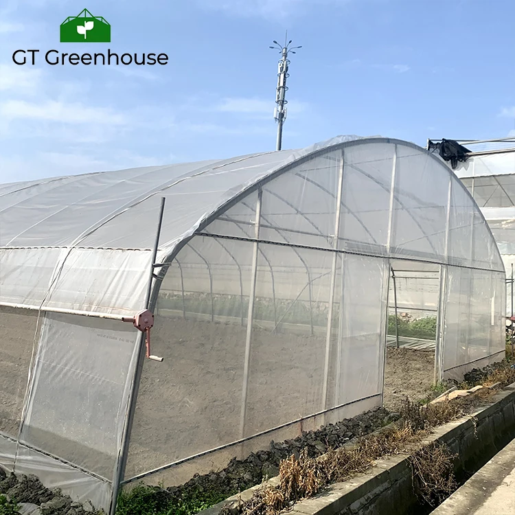 GT Outdoor Agriculture Commercial Plastic Film Tunnel Green House Metal Frame