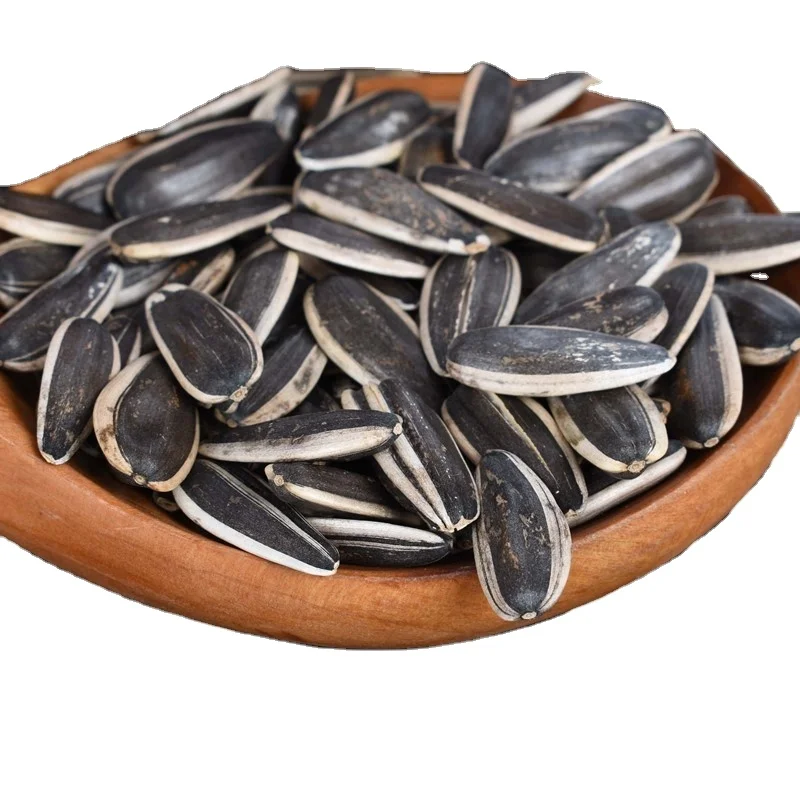 wholesale spring hybrid raw  sunflower seeds