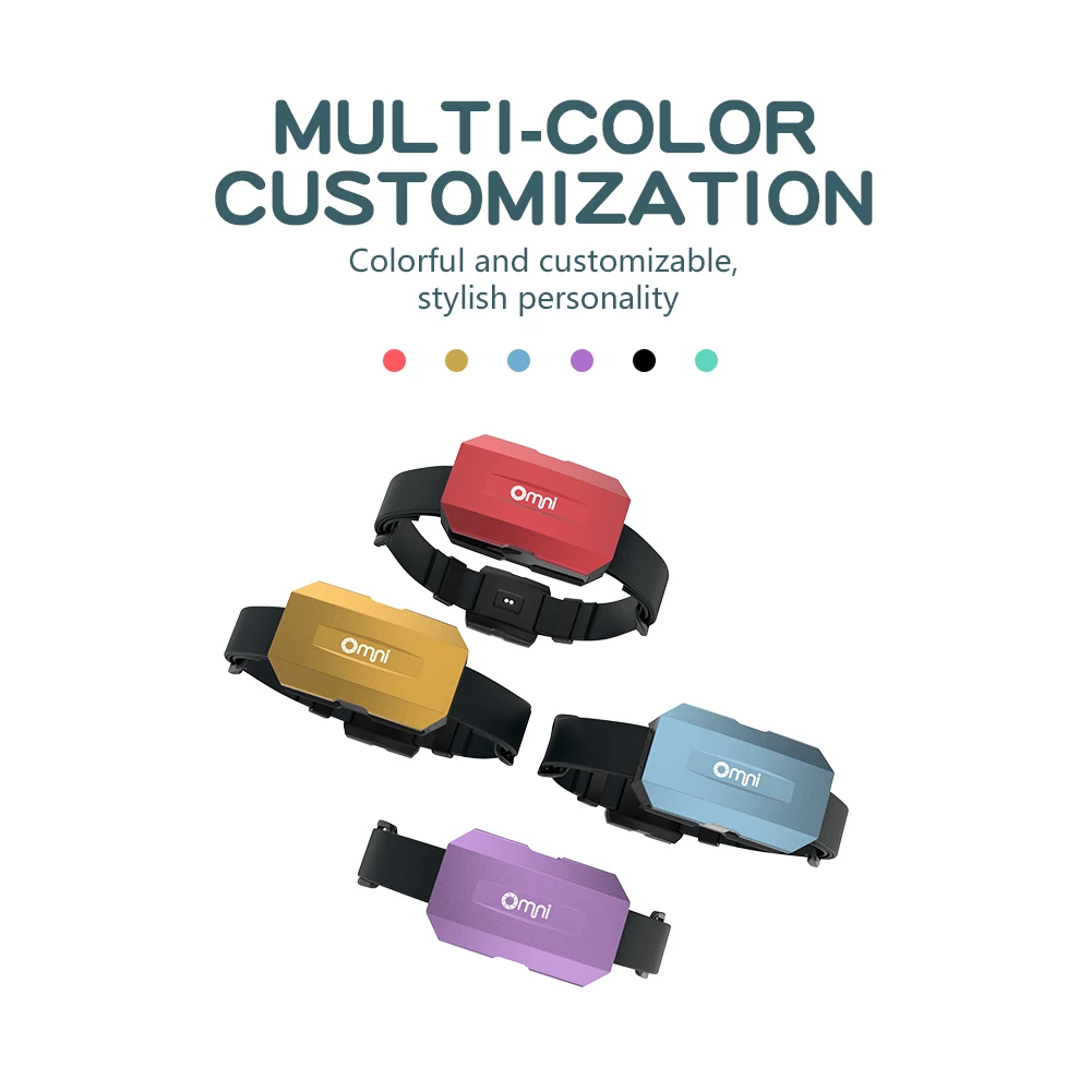 Newest Pet Implant Gps Tracking System Ip67 Waterproof  WIFI Real Time Positioning Smart Pet GPS Tracking Collar Device