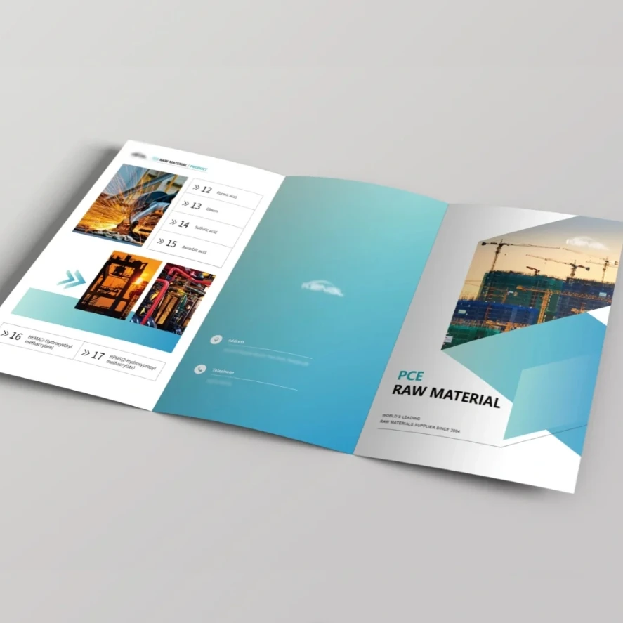 Custom High Quality Cheaper Company Catalog Paperback Leaflet Book Booklet Brochure Printing