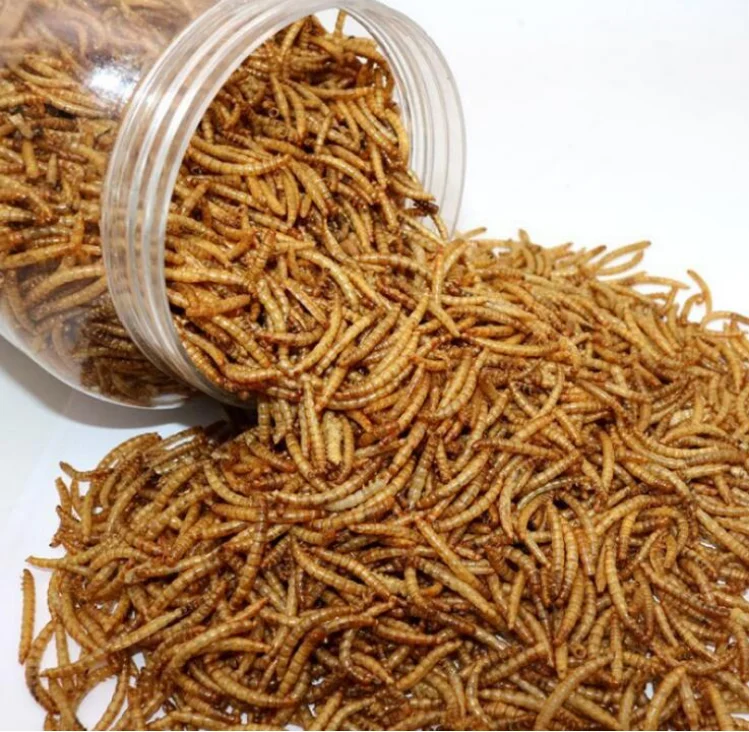 Хлеб червячный Сушеные Mealworms для попугая