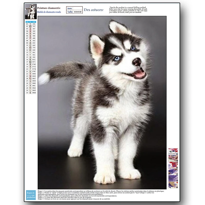 
Diamond Painting Animal Full Square Or Round Paintings Art On Canvas Husky Dog 30 * 40CM Wall Paintings For Living Room 