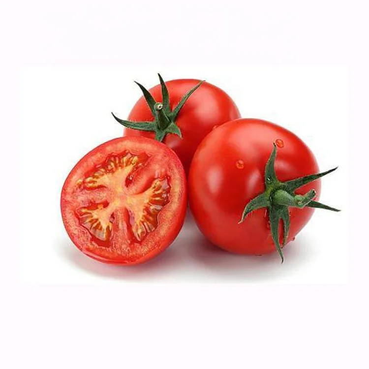 2021New Wholesale China Crop High Quality Red Carton Round Sweet Tomato Fresh Soil Culture Cultivation 100% 0.25 Kg I Maturity
