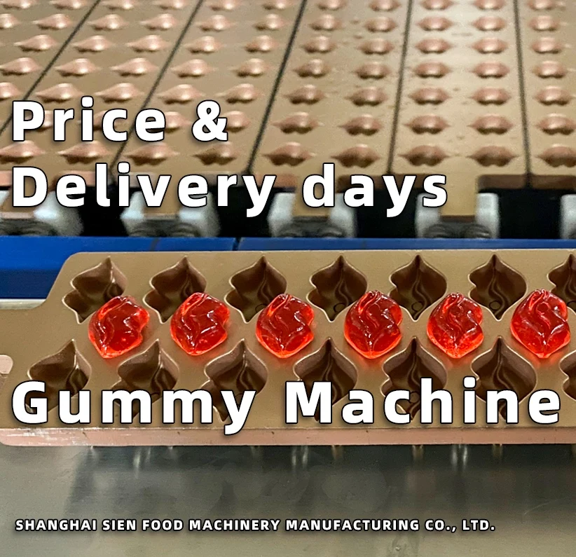 Candy Machine Full Auto Servo Driven Jelly Candy Production Line Gelatin Pectin Carrageenan Gummy Machine