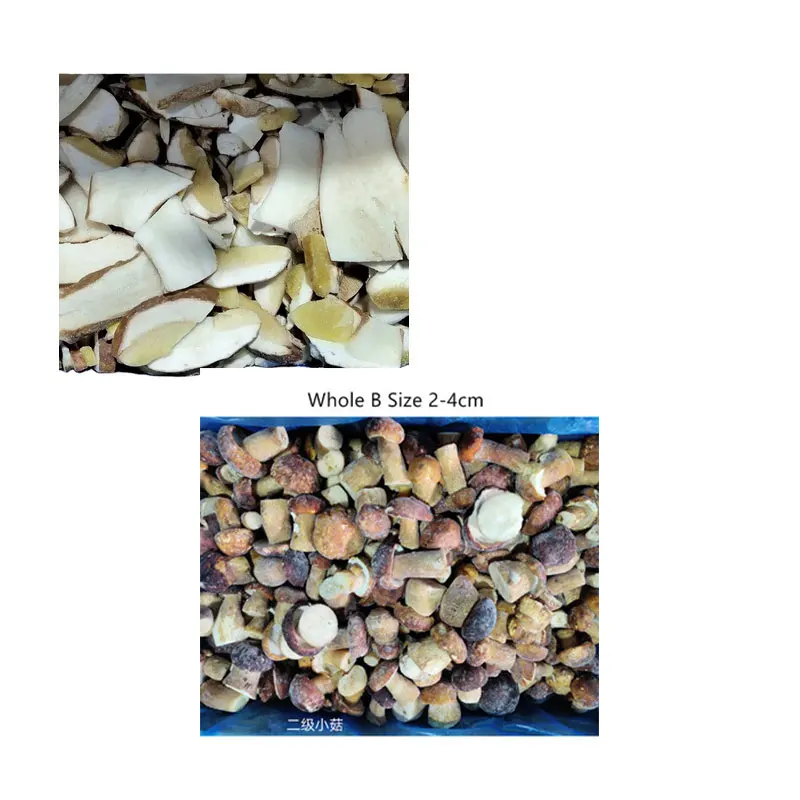 
Natural wild Chinese whole half cut sliced cube frozen mushroom boletus porcini edulis steinpilz 