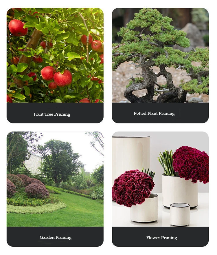 electric pruning shear.jpg