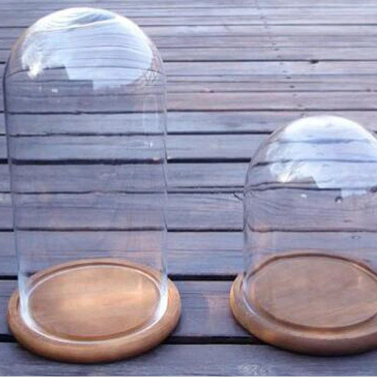 
Custom mouth blower with base borosilicate glass container decoration micro landscape plant dome glass cover 