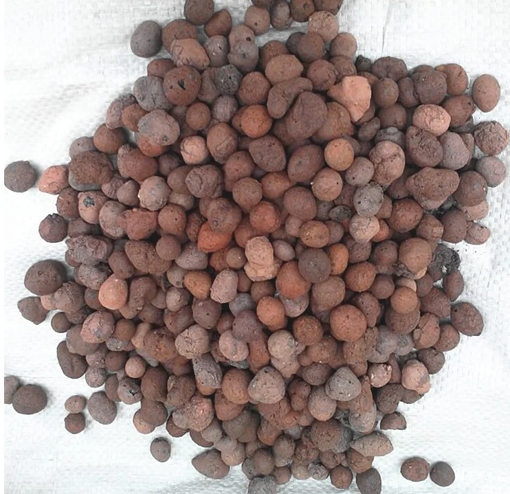 hydroton clay pebble