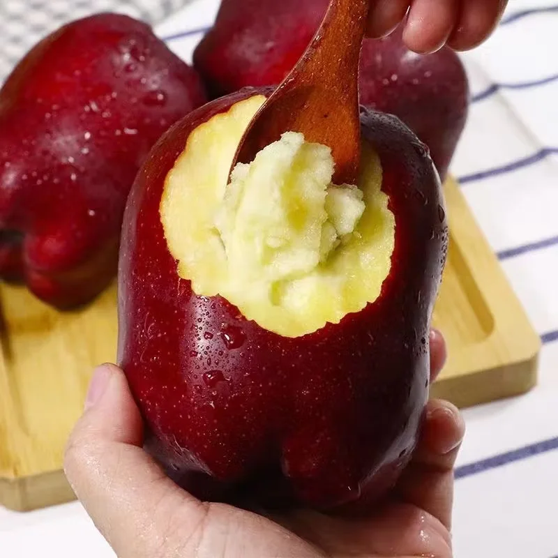 Натуральное высококачественное сладкое яблоко Fuji зеленое и красное свежее вкусное посаженное