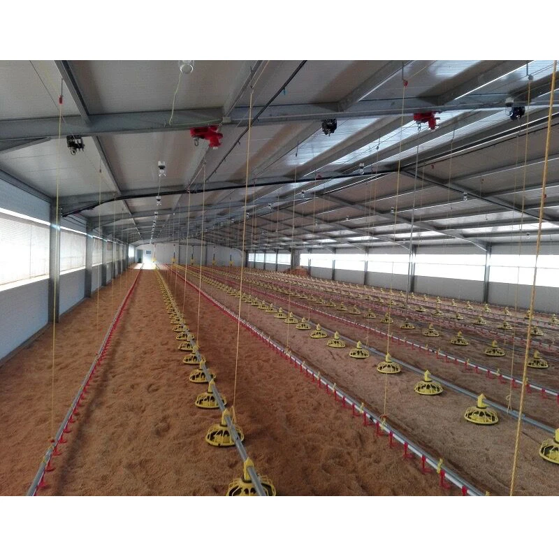 Automatic Broiler House Poultry Shed Design for chicken farm