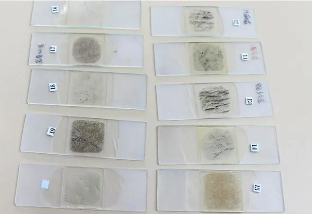 24pcs Geology Mineral Stone Thin Section Prepared Microscope Slides for Professional Geology