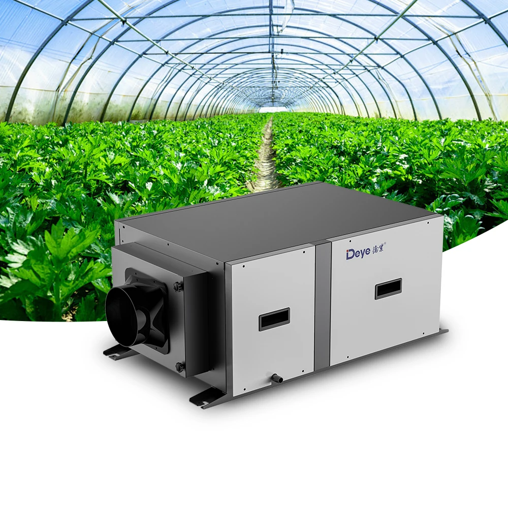 CE CB approval adjustable humidistat 50L/D ceiling mounted dehumidifier with fresh air ventilation