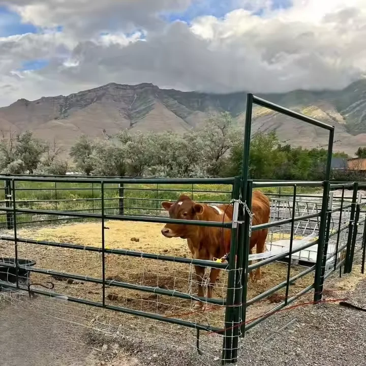Factory-Priced Multi-Function Square Tube Galvanized Livestock Horse Fence Security Fence with Post Caps