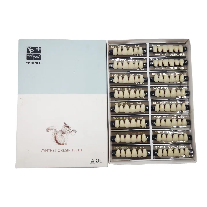 2 Layer 3 layer Synthetic Resin Acrylic teeth A2 A3  For Artificial Dentures  Manufactures