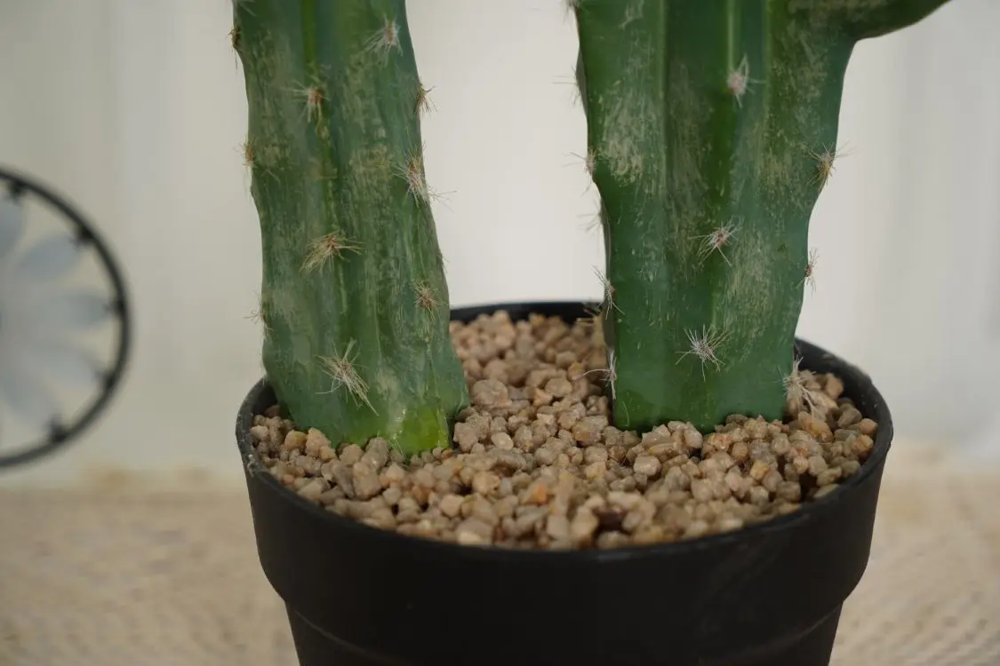 Hourpark Indoor Decoration Artificial Plastic Bonsai Cactus With Pot Faux Simulation Artificial Plants