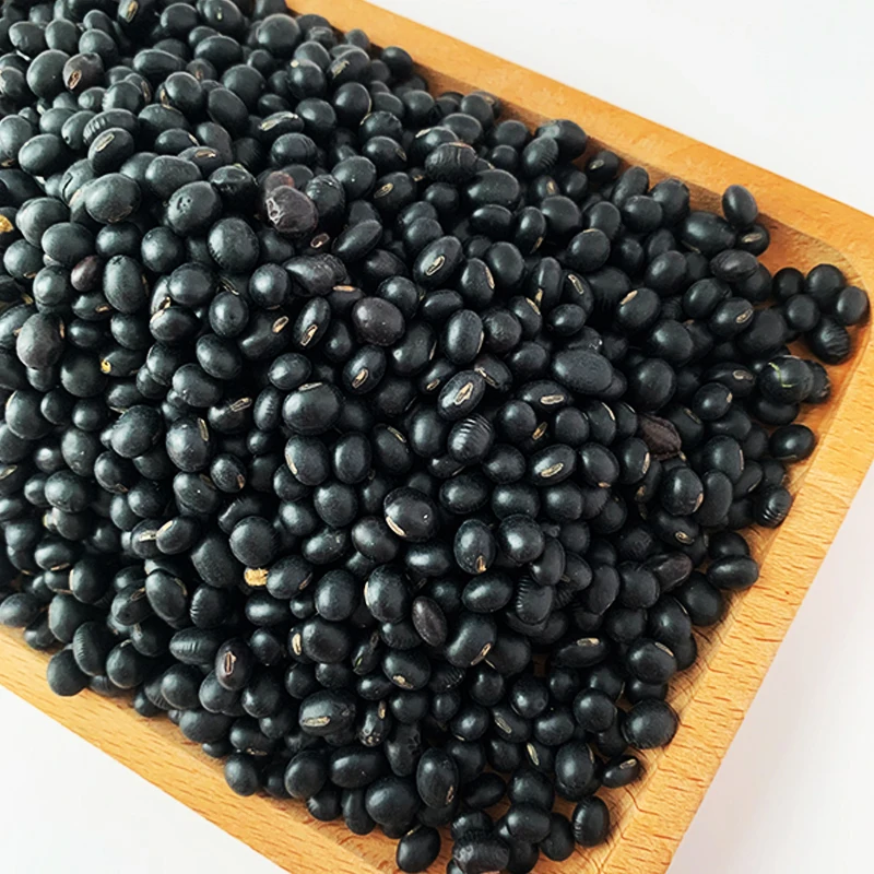 Hot sale HALAL  Chinese factory Manufacturer Black beans