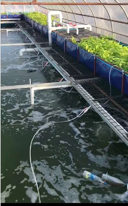 100% Polyester Water Tanks Swimming Pool Waterproof PVC Fish Pond Pools 500gsm 650gsm 700gsm Tarpaulin Woven Pattern Coat Design