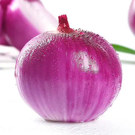 
Supply chinese fresh onion purple onion in bulk 