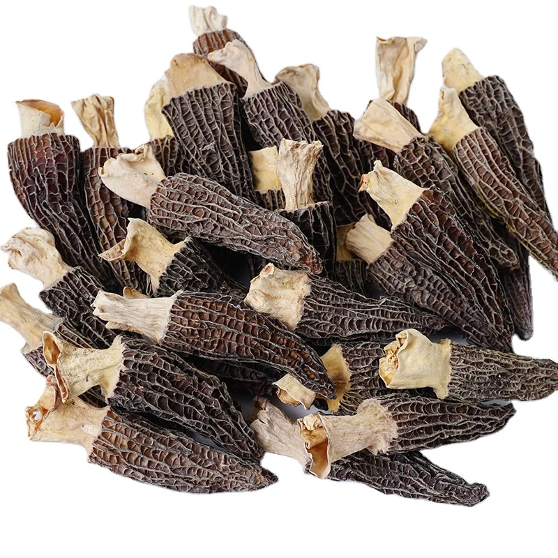 
In Bulk Supplying Great Hongos Texture Package Precio Price Wild Black Dried De Fresh Morchella Mushroom 