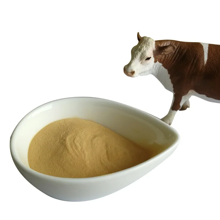 Нуклеотидный дрожжевой экстракт FM505 соевый пептоновый фермент пептон говядина Триптофан FP326 культура агар 900/1200