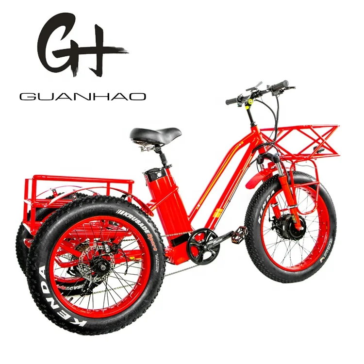  24inch Fat Tire Adult 3Wheel 48V1000W China tricycle OEM CE CPSC EN15194 21AH 3 Wheel Cargo Electric