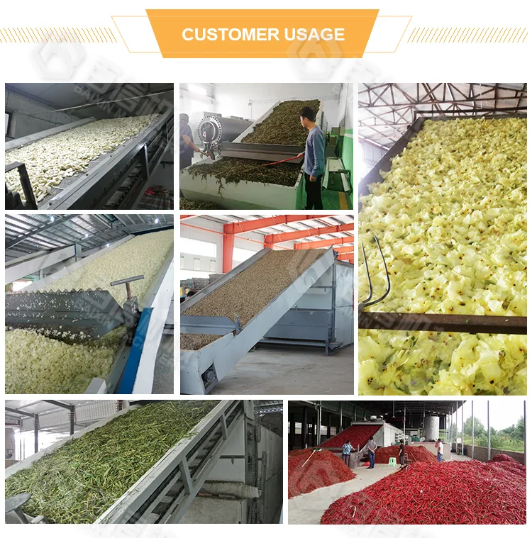 Large Capacity Automatic Turmeric Dryer Machine For Food Electric Dehydrator Garlic Ginger Drying Equipment