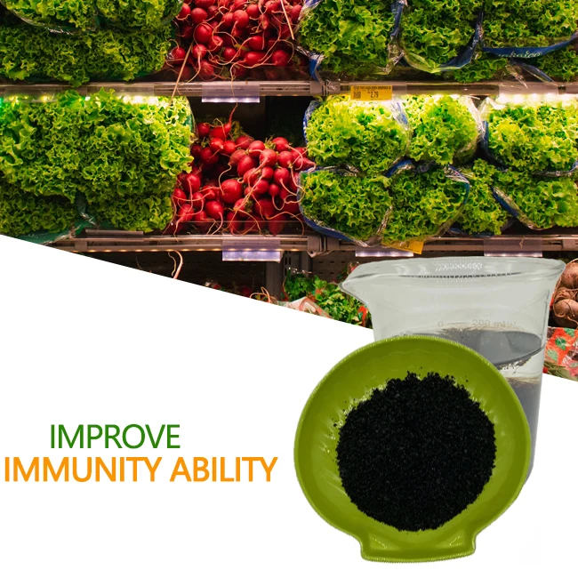 Сельскохозяйственное удобрение для бизнеса, хлопья гуминовой кислоты, супер калий ГУМАТ, китайская торговля