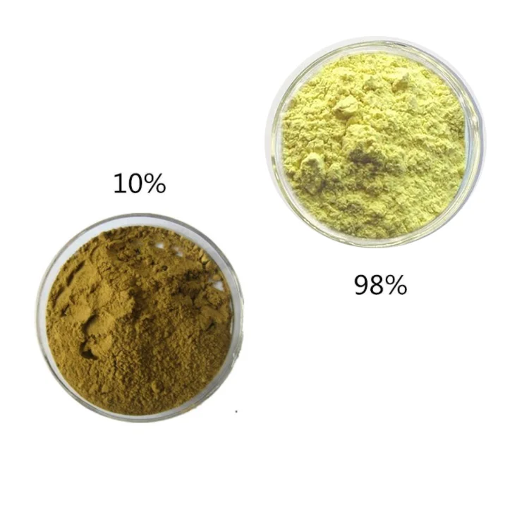 Organic Pure Natural Goat Weed Extract Powder Plant Epimedium Extract Powder 5% 10% 20% 98% Icariin