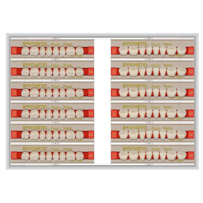Artificial Acrylic Resin Teeth/denture teeth/ Composite Resin Teeth factory price