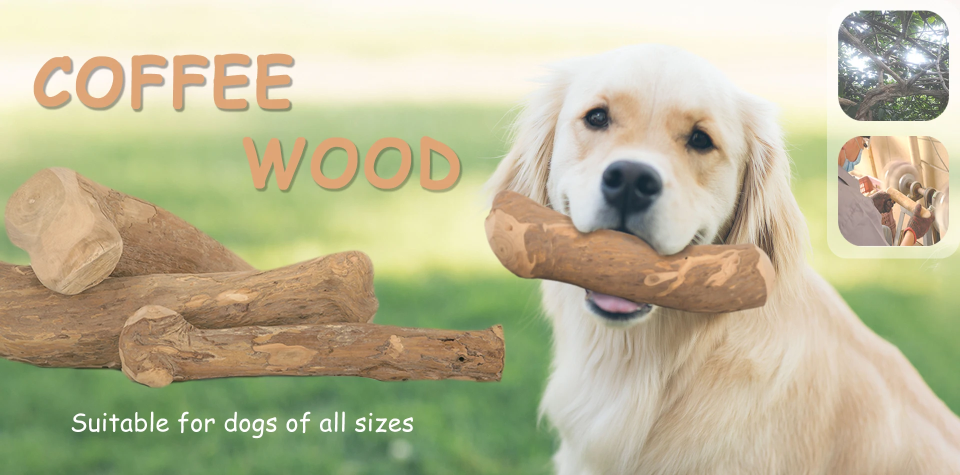 YOUME Factory Price Pet Toys 100% Coffee Wood Natural Coffee Wood Chew Toy for Medium-Sized Dogs