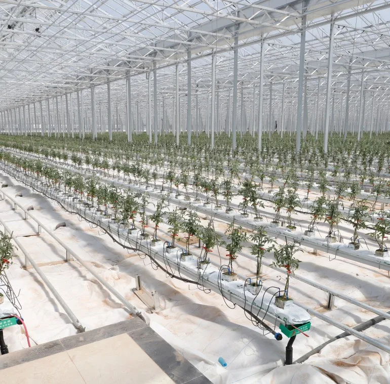 Elevated Strawberry for Seed Nursery/Eco Restaurant/Exhibition/greenhouse/scientific research