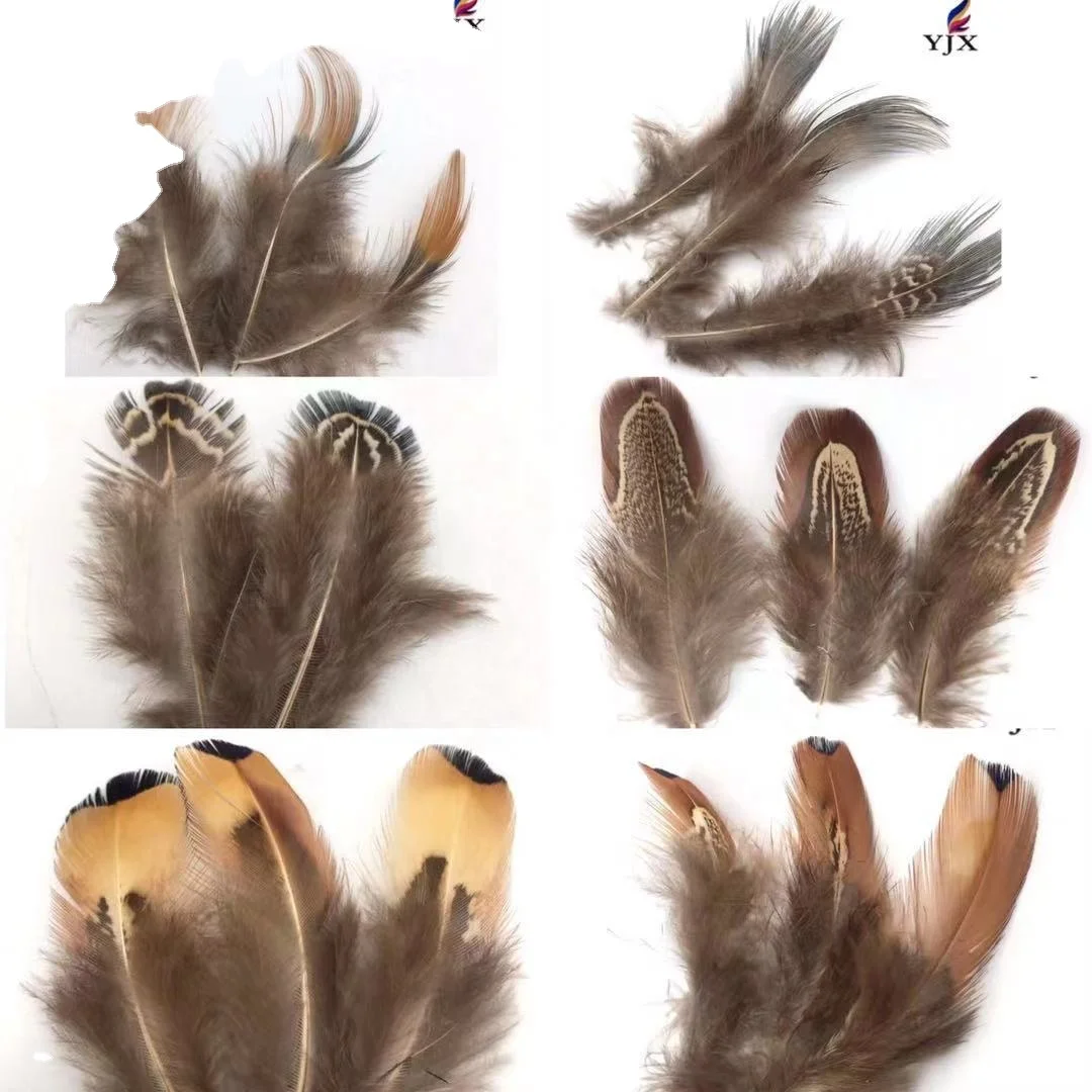Cheap Sale Natural Color Ringneck Pheasant  Feathers   Pheasant Plumage Almond Feathers