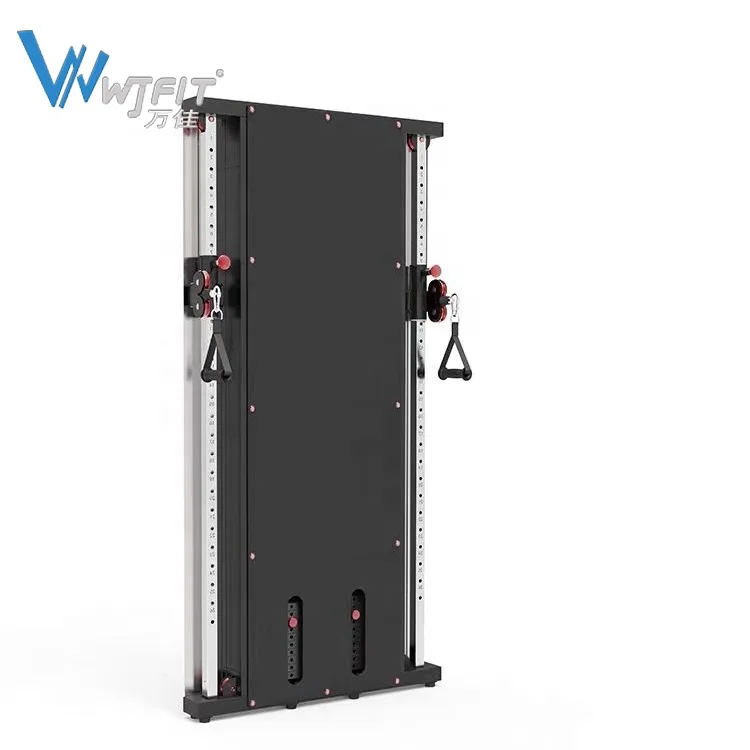 Space Saving Gym Equipment Wall Mount Function Trainer Cross Over Dual Cable Function Trainer With Cables