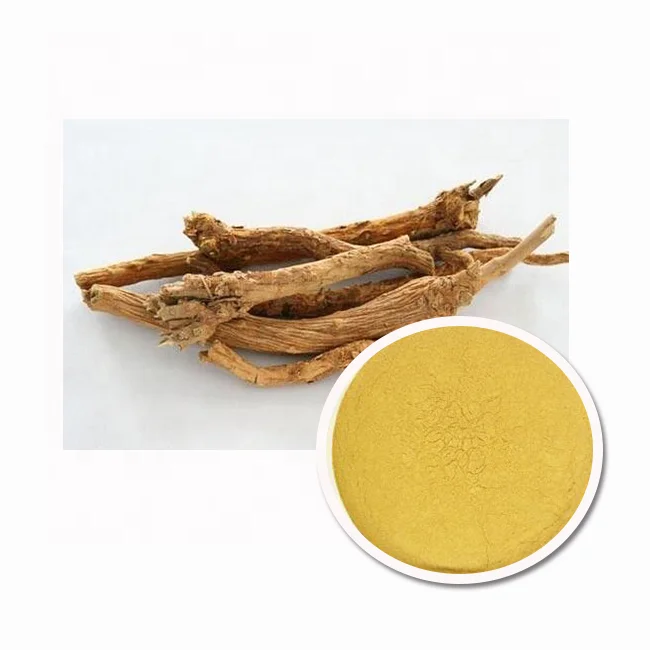 Top quality super root extract Baical skullcap root extract powder for health