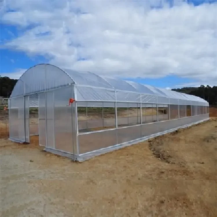 Good Quality And Easily Installed Single  span  Agricultural/Commercial PE Film  Tunnel  Green House